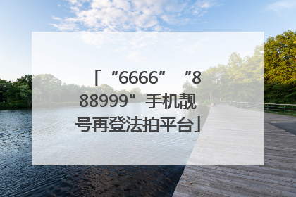 “6666”“888999”手机靓号再登法拍平台