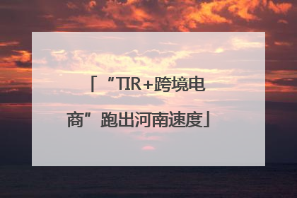 “TIR+跨境电商”跑出河南速度
