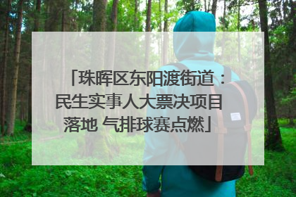 珠晖区东阳渡街道：民生实事人大票决项目落地 气排球赛点燃