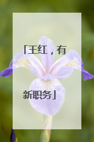 王红，有新职务