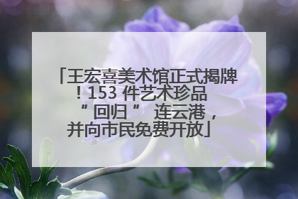 王宏喜美术馆正式揭牌！153 件艺术珍品 “ 回归 ” 连云港，并向市民免费开放