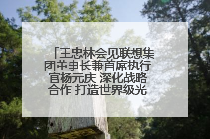 王忠林会见联想集团董事长兼首席执行官杨元庆 深化战略合作 打造世界级光电子信息产业集群