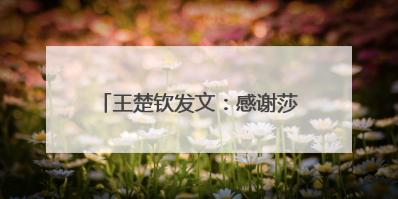 王楚钦发文：感谢莎莎，谢谢不管多痛苦也想证明一切的自己