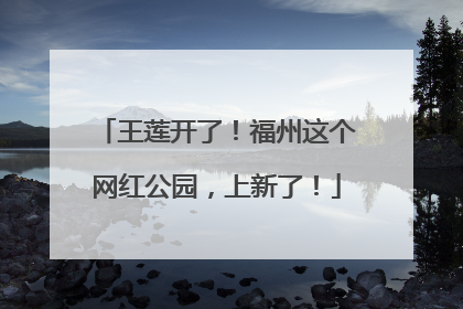 王莲开了！福州这个网红公园，上新了！