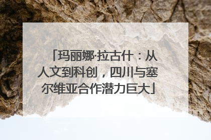 玛丽娜·拉古什：从人文到科创，四川与塞尔维亚合作潜力巨大