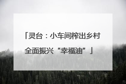 灵台：小车间榨出乡村全面振兴“幸福油”