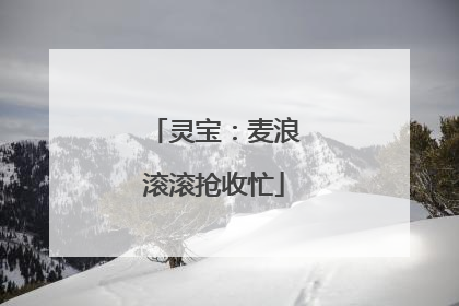 灵宝：麦浪滚滚抢收忙