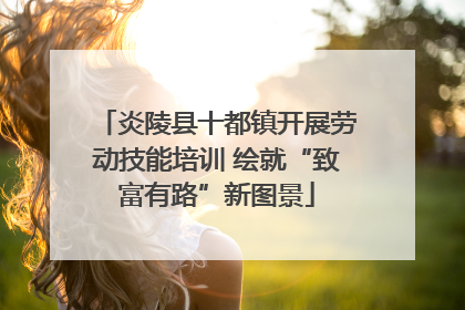 炎陵县十都镇开展劳动技能培训 绘就“致富有路”新图景