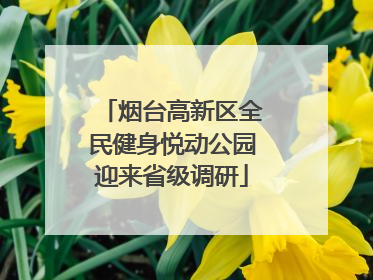 烟台高新区全民健身悦动公园迎来省级调研