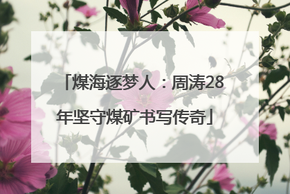 煤海逐梦人：周涛28年坚守煤矿书写传奇