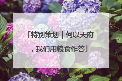 特别策划｜何以天府，我们用粮食作答