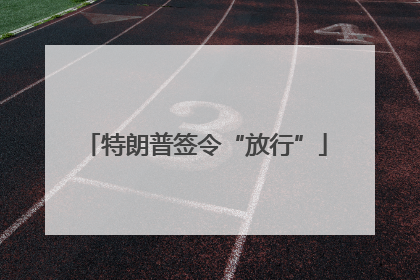 特朗普签令“放行”
