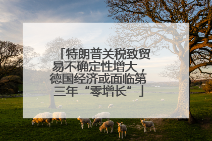 特朗普关税致贸易不确定性增大，德国经济或面临第三年“零增长”