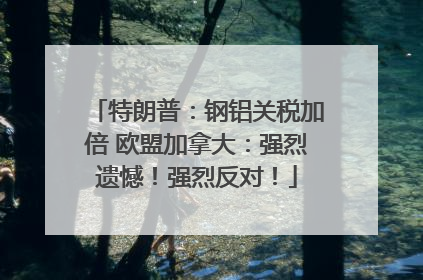 特朗普：钢铝关税加倍 欧盟加拿大：强烈遗憾！强烈反对！