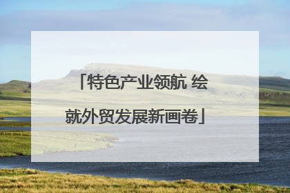 特色产业领航 绘就外贸发展新画卷