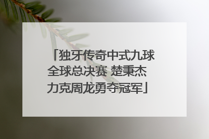独牙传奇中式九球全球总决赛 楚秉杰力克周龙勇夺冠军