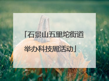 石景山五里坨街道举办科技周活动