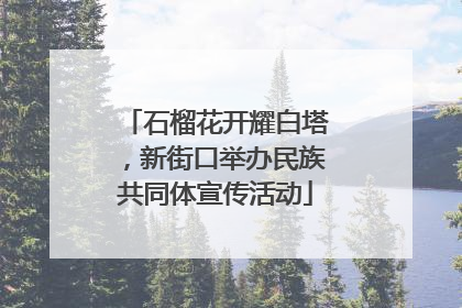 石榴花开耀白塔，新街口举办民族共同体宣传活动