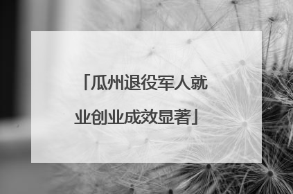 瓜州退役军人就业创业成效显著