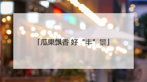 瓜果飘香 好“丰”景