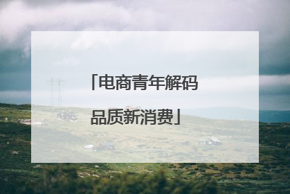 电商青年解码品质新消费