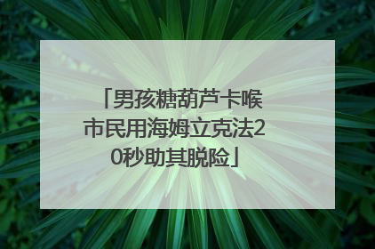 男孩糖葫芦卡喉 市民用海姆立克法20秒助其脱险