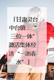 甘肃灵台中台镇：“三位一体”激活集体经济“一池春水”