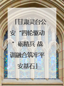 甘肃灵台公安“四轮驱动”砺精兵 战训融合筑牢平安基石