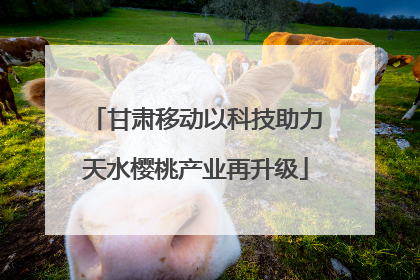甘肃移动以科技助力天水樱桃产业再升级
