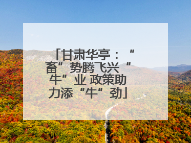甘肃华亭：“畜”势腾飞兴“牛”业 政策助力添“牛”劲