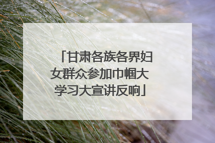 甘肃各族各界妇女群众参加巾帼大学习大宣讲反响