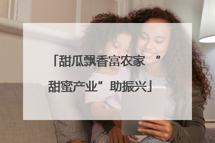 甜瓜飘香富农家 “甜蜜产业”助振兴