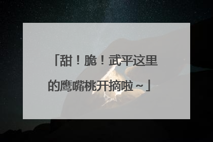 甜！脆！武平这里的鹰嘴桃开摘啦～