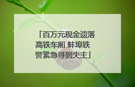 百万元现金遗落高铁车厢 蚌埠铁警紧急寻到失主