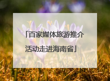 百家媒体旅游推介活动走进海南省