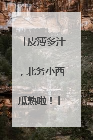 皮薄多汁，北务小西瓜熟啦！