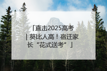 直击2025高考｜葵比人高！宿迁家长“花式送考”