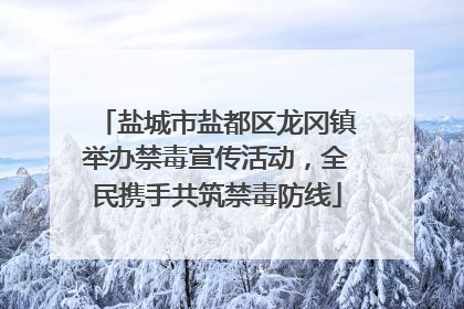 盐城市盐都区龙冈镇举办禁毒宣传活动，全民携手共筑禁毒防线