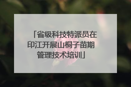 省级科技特派员在印江开展山桐子苗期管理技术培训