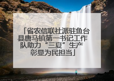 省农信联社派驻鱼台县唐马镇第一书记工作队助力“三夏”生产 彰显为民担当