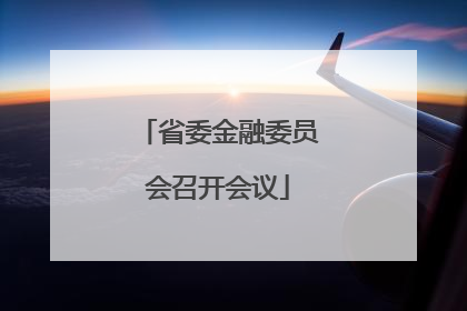 省委金融委员会召开会议