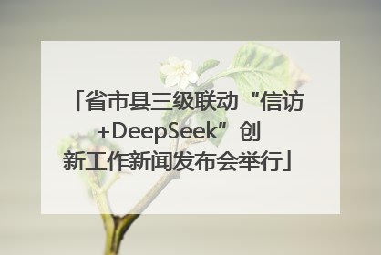 省市县三级联动“信访+DeepSeek”创新工作新闻发布会举行