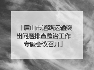 眉山市道路运输突出问题排查整治工作专题会议召开