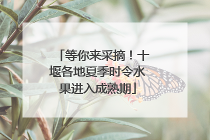 等你来采摘！十堰各地夏季时令水果进入成熟期