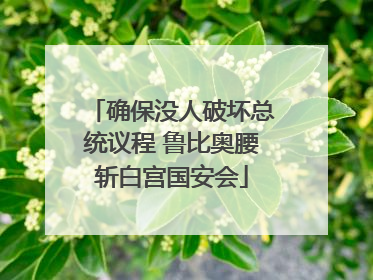 确保没人破坏总统议程 鲁比奥腰斩白宫国安会