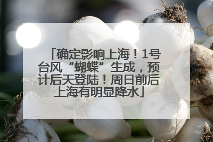 确定影响上海！1号台风“蝴蝶”生成，预计后天登陆！周日前后上海有明显降水