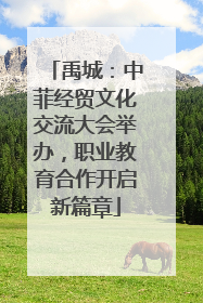 禹城：中菲经贸文化交流大会举办，职业教育合作开启新篇章