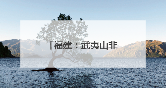 福建：武夷山非遗传承人坚守传统 手工制茶技艺再现“岩骨花香”