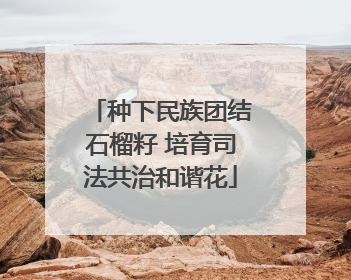 种下民族团结石榴籽 培育司法共治和谐花