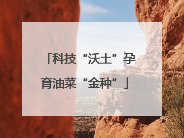 科技“沃土”孕育油菜“金种”